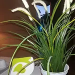 Frühstückspension Elisir 3*