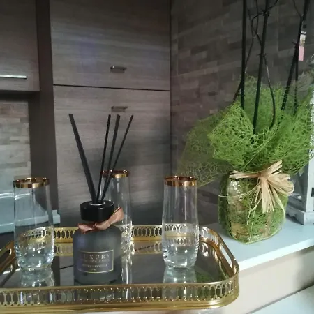 住宿加早餐酒店 Elisir