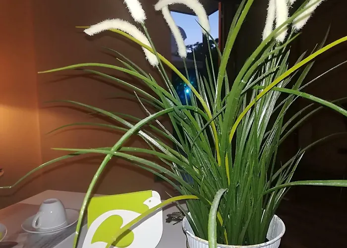 Oda ve Kahvaltı Elisir 3*